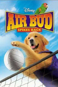poster Airbud 5 : superstar (Air Bud : Spikes Back)
