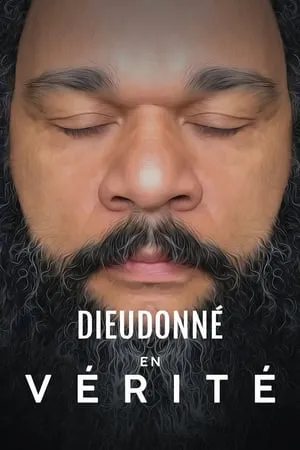 poster film Dieudonné - En Vérité