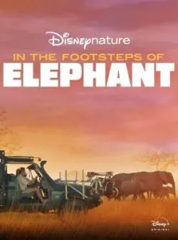 poster film Sur la Route des Eléphants