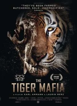 poster film La mafia du tigre