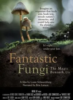 poster film Fantastic Fungi