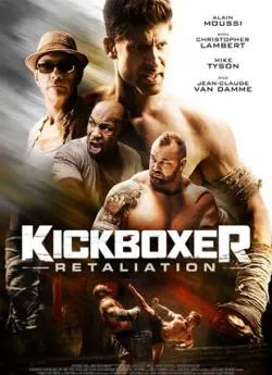 poster film Kickboxer : l'héritage