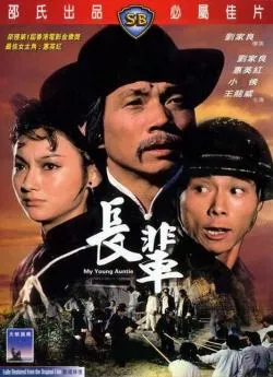 poster film Lady kung fu