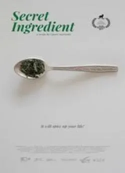 poster film The Secret Ingredient