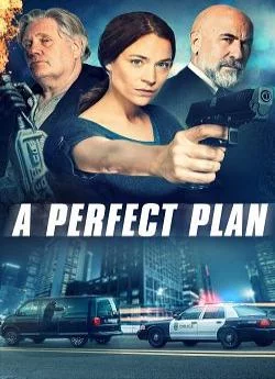 poster A Perfect Plan