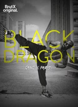 poster Gang de Paris : Black Dragon - Saison 1