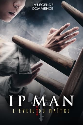 poster film Ip Man : L'Éveil du Maître